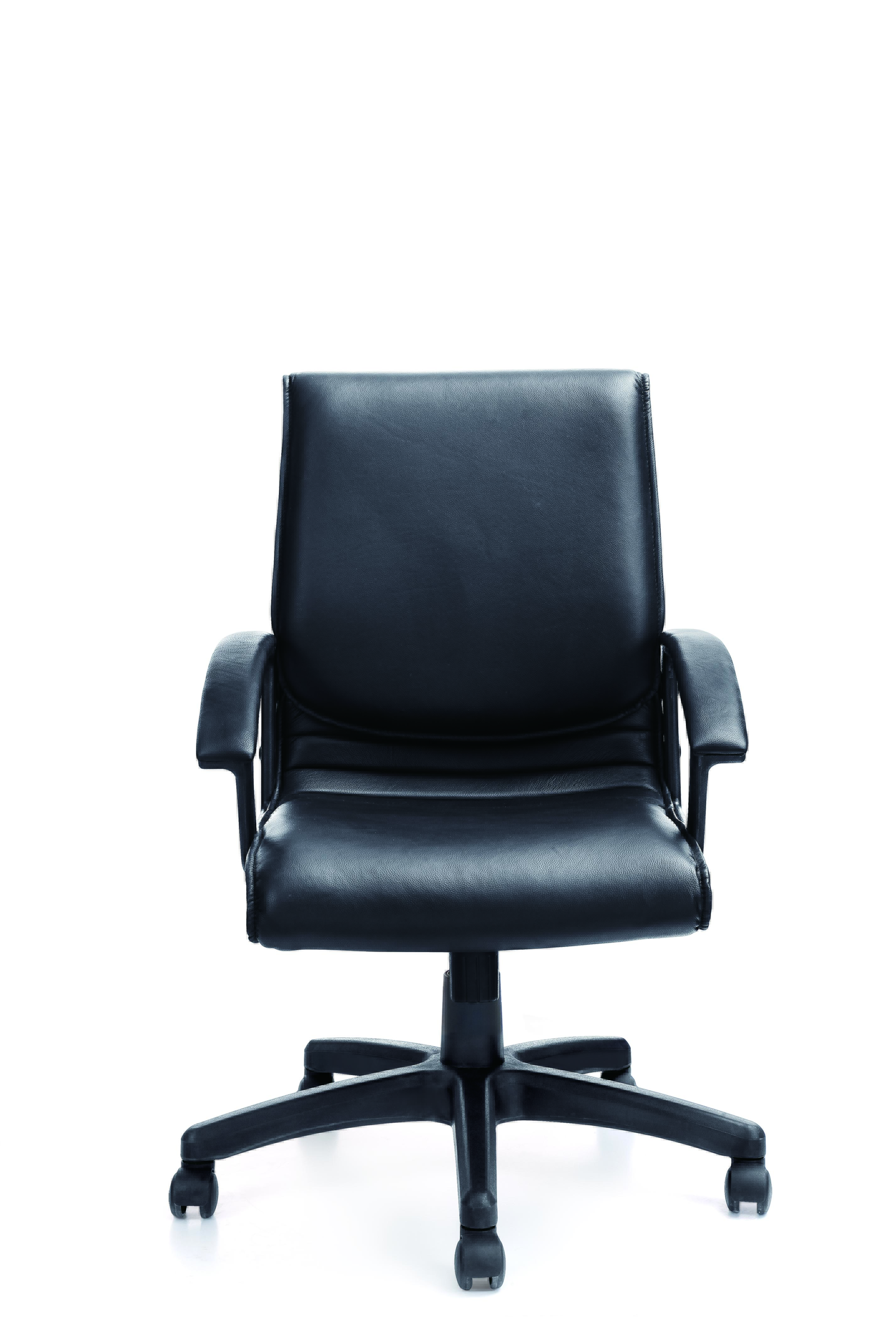 Ƥ����CH-013B  (1)