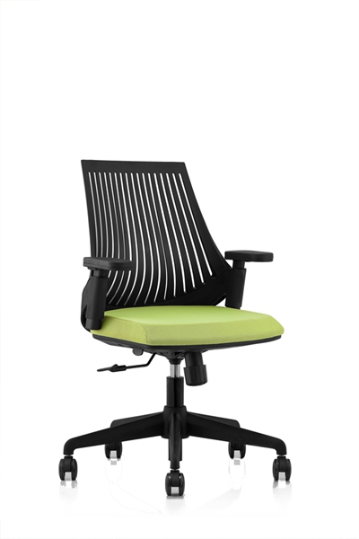 �W(w��ng)������CH-246B-�G (